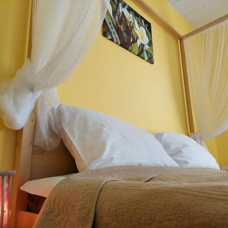 Anandaresort - Vegewakacje Władysławowo Екстериор снимка