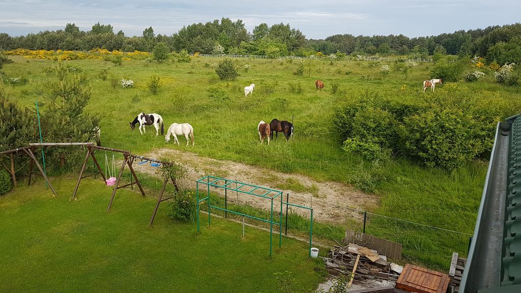 Anandaresort - Vegewakacje Władysławowo Екстериор снимка